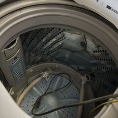 洗濯機ハイセンスHW-55E2W5.5kg2023年の画像