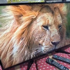 パナソニックTH-43EX600 43型2017年製⭕️ 地上 BS/CS、ネット動画可能　美品の画像