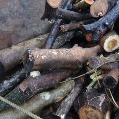 福島県発 中島村発 薪 軽トラ1台 雑木 庭木 生木 全てまとめて 中古品 現状品 引き取り限定 26日なら配達可能の画像