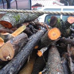 福島県発 中島村発 薪 軽トラ1台 雑木 庭木 生木 全てまとめて 中古品 現状品 引き取り限定 26日なら配達可能の画像