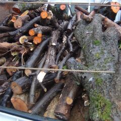 福島県発 中島村発 薪 軽トラ1台 雑木 庭木 生木 全てまとめて 中古品 現状品 引き取り限定 26日なら配達可能の画像