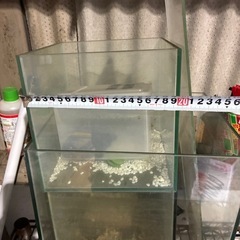 キューブ型水槽 3個差し上げますの画像