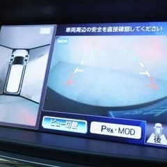 かっこいい！！　日産 エルグランド 入庫しました　(*'▽')♡　　の画像