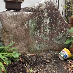 庭の飾り石の画像