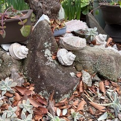 庭の飾り石の画像