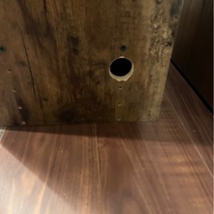 ニトリ カラボ（決まりました）の画像