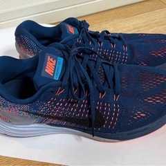 NIKE ランニング　ジム用シューズの画像