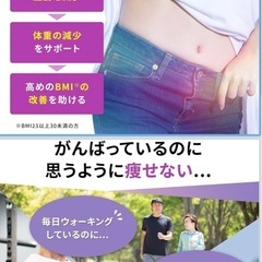 【新品・未開封】Regain リゲイン スリムマネージ　2袋の画像