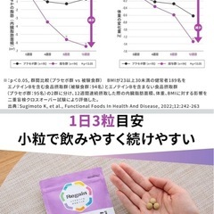 【新品・未開封】Regain リゲイン スリムマネージ　2袋の画像