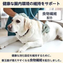 【新品・Amazonブランド】犬用ウェットフード 総合栄養食 10歳以上 チキン&野菜 70g x 12個の画像