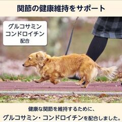 【新品・Amazonブランド】犬用ウェットフード 総合栄養食 10歳以上 チキン&野菜 70g x 12個の画像