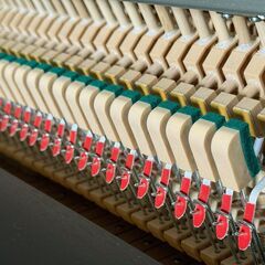 KAWAI（カワイ）NF-15 ピアノ 椅子・調律1回付　現物確認・試弾大歓迎！の画像