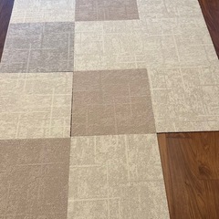 川島織物セルコン　ラグ　カーペットの画像