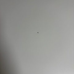 IKEA 電動昇降デスク MITTZON ミットゾーン 160×80｜白×黒｜定価5.3万｜引き取り限定の画像