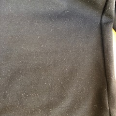 (ピサーノ)ズボンの画像