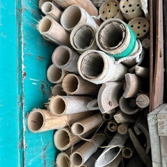 竹　長さ　160-180cm 直径4-6cmの画像