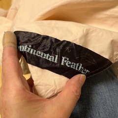 羽毛布団　シングルサイズの画像