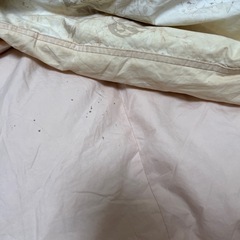 羽毛布団　シングルサイズの画像