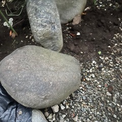 石の画像