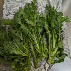 12/25収穫野菜の画像