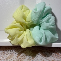 シュシュの画像