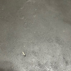 中古　豆型　テーブル　0円の画像