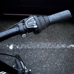 サイモト自転車20型折りたたみ自転車プロスペリティ 2023年モデル
の画像