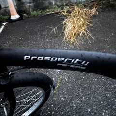 サイモト自転車20型折りたたみ自転車プロスペリティ 2023年モデル
の画像