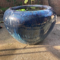 特大水鉢の画像