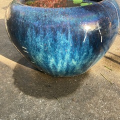 特大水鉢の画像