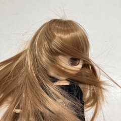 A2512-683 タカラトミー　ネオブライスドール　中古美品の画像