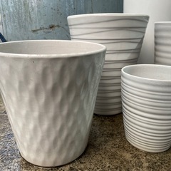 【リユースショップスパークル】植木鉢10個セット　No.206　陶器鉢　蘭鉢　胡蝶蘭　ホワイト　おしゃれ　プランター　配送可能♪の画像