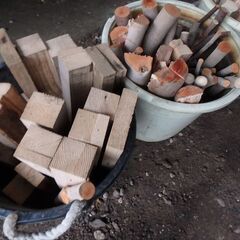 【東京都練馬区】薪になりそうな木です。の画像