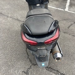 MF08  フォルツァの画像