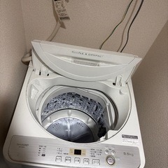 SHARP洗濯機　最大48L 5.5kgの画像