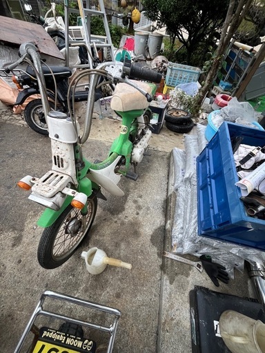 パルフレイ50