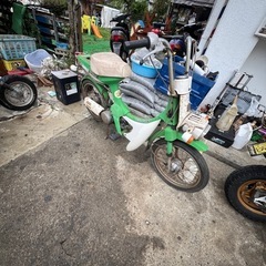 パルフレイ50の画像