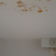 ★リユースのサカイ高崎店★TJ13791 NITORI レンジ台 白 H115×D40×W119.5 クリーニング済みの画像