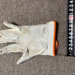 ゴルフ　女子用手袋の画像