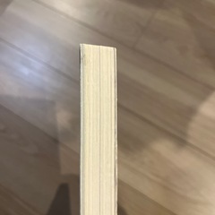 猫村さんとほしよりこ完全版　ムックの画像