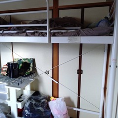 【商談中】ロフトベットの画像