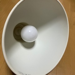 無印 照明 ペンダント シェード
の画像