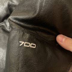 交渉🉑試着🉑即日受渡‼️ leather  supreme ノースフェイス シュプリーム the north face コラボ レザーダウンジャケット　冬物　オシャレ　高額ブランド　高級フェザーダウン　羊革の画像