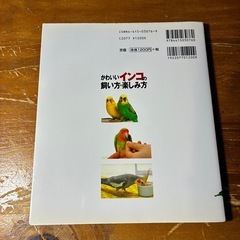かわいいインコ 飼い方・楽しみ方の画像