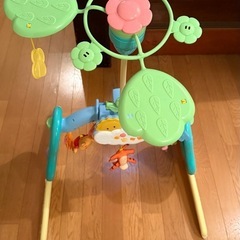 【極美品】プーメリー   　　の画像