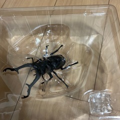 クワガタ　一番くじの画像