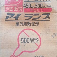 岩崎電気　アイランプ　E39口金　投光器電球の画像