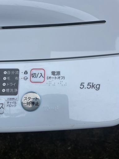 Hisense 2024年製HW-K55E 縦型洗濯機 5.5kg