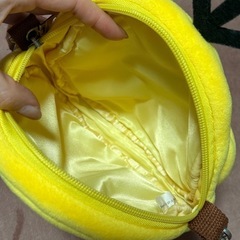 コダック ポシェットの画像