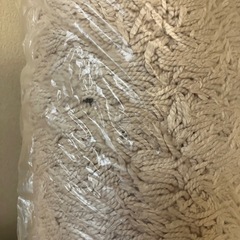 【最終値下げです】カーペット ラグ ラグマット　シャギー 185×185の画像